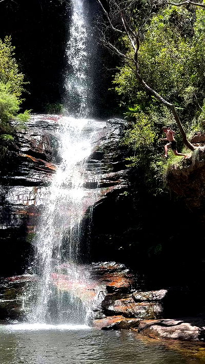 taylor.creeden taylor.creeden archive video