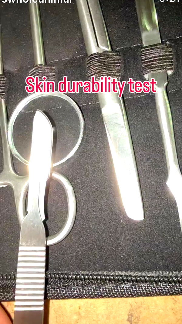 swholeanimal archive video preview