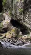 vvelum_ Altpins Profile Picture