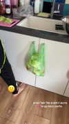 maycohen8 Altpins Profile Picture
