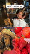 libby_reut Altpins Profile Picture