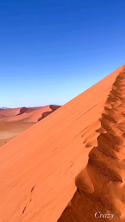 taylor.creeden taylor.creeden archive video