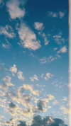 yuli.barell Altpins Profile Picture