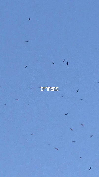 avital_1010.2003 avital_1010.2003 archive video