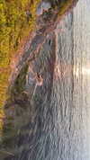 yule4kamraz Altpins Profile Picture