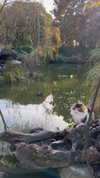 miikheeva_stasiiya Altpins Profile Picture