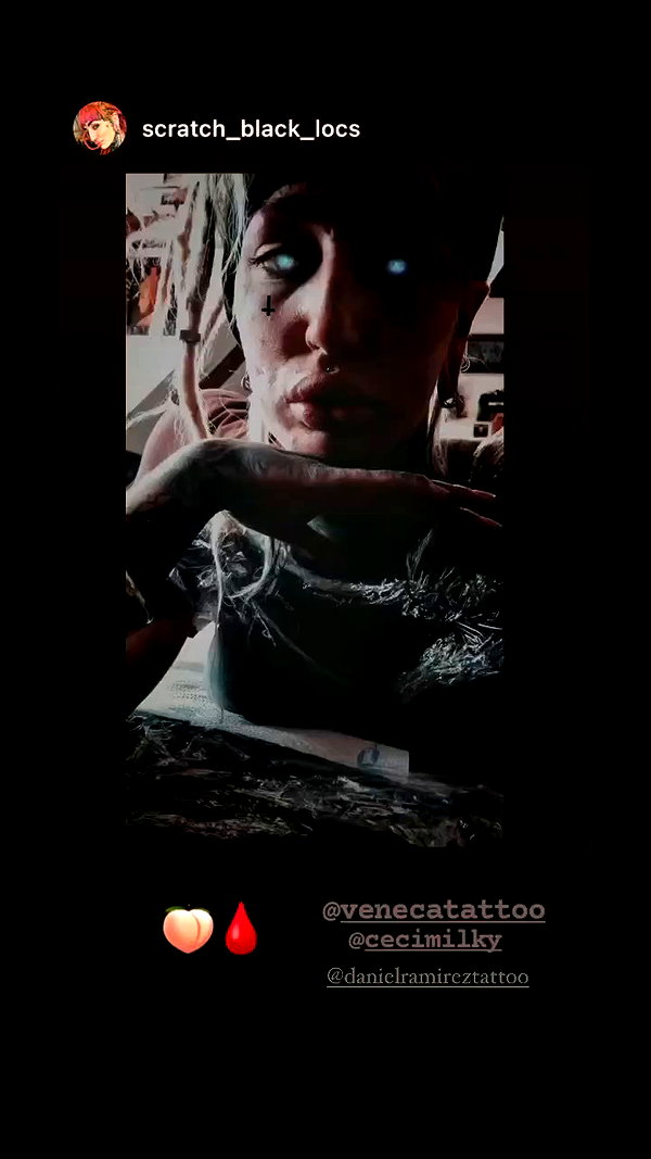 venecatattoo archive video preview