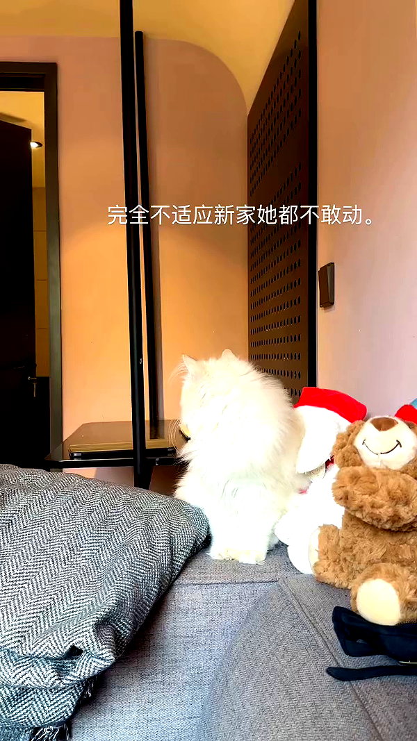 xiaoxinbue archive video preview