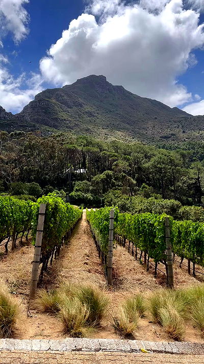 taylor.creeden taylor.creeden archive video