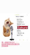 150_aiko Altpins Profile Picture