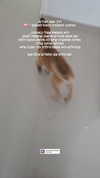 tinapavlov.sky Altpins Profile Picture