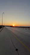 mishel_d_ Altpins Profile Picture