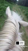 _roniira Altpins Profile Picture