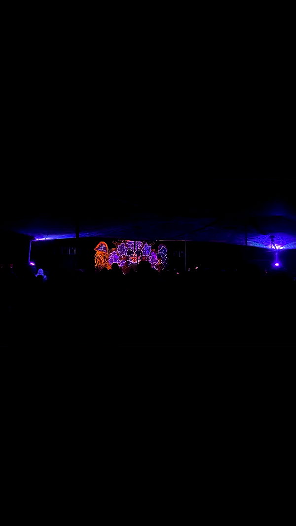 _.shelichka._ archive video preview