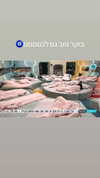 tirtza_cohen Altpins Profile Picture