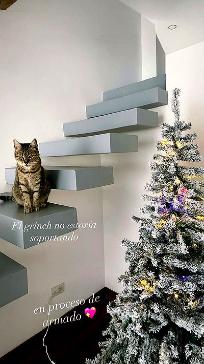 shunli__mei shunli__mei archive video