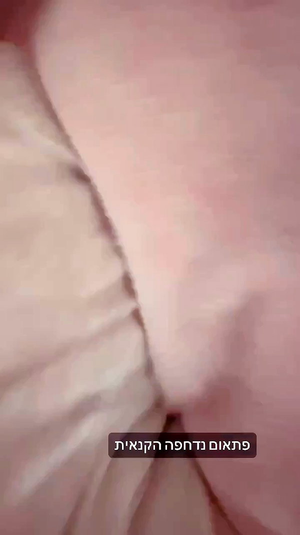 adihimelbloy archive video preview