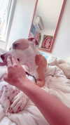 _mashachka_ Altpins Profile Picture