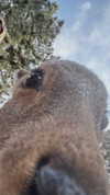 emwstwood Altpins Profile Picture