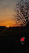 xoliwkapx Altpins Profile Picture