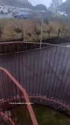 _broock_ Altpins Profile Picture
