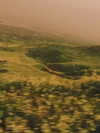 hadas_mayer_ Altpins Profile Picture