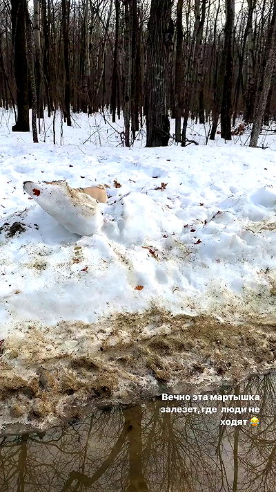 nyityam nyityam archive video