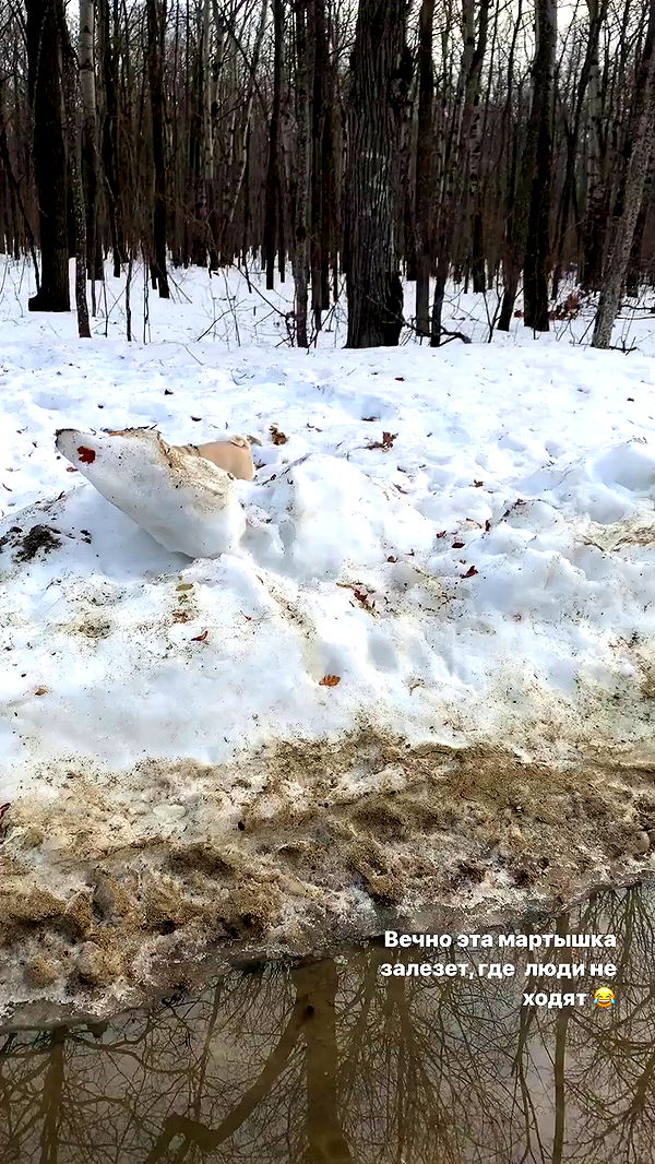 nyityam archive video preview