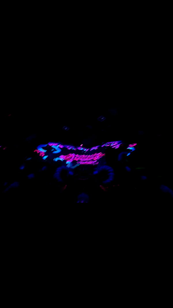 shaharo__._ archive video preview