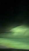 vanessa.julienne Altpins Profile Picture