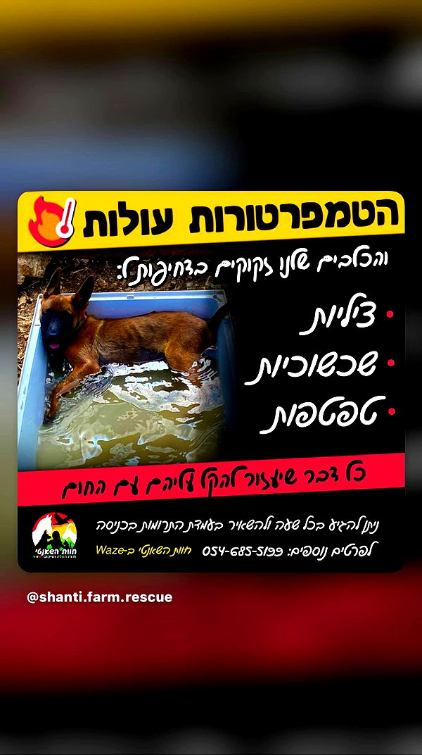 noyaislilith333 archive video preview