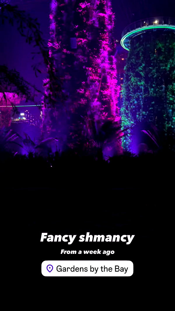 sapir_shemer archive video preview