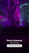 sapir_shemer Altpins Profile Picture