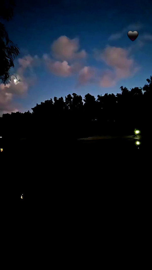 nicakitty archive video preview