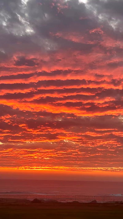 taylor.creeden taylor.creeden archive video