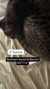 famous_wu24 Altpins Profile Picture