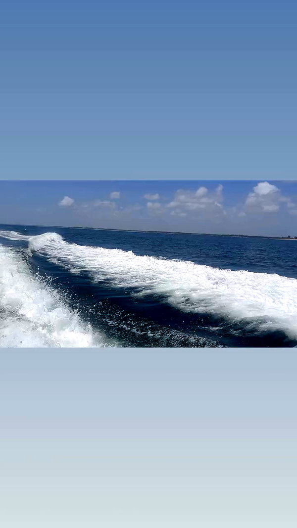 stoicmadii archive video preview