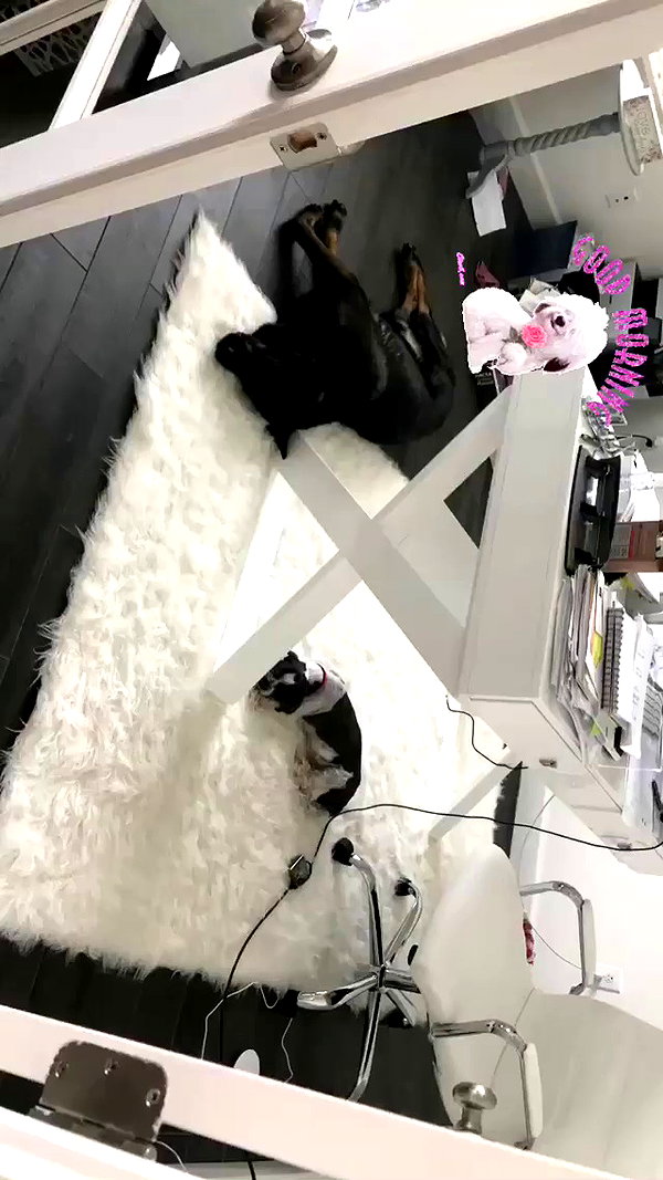 missbrisolo archive video preview