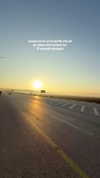 mishel_d_ Altpins Profile Picture