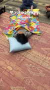 hilla.sela Altpins Profile Picture