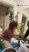 roni_ackerman Altpins Profile Picture