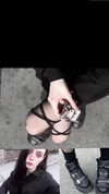 amanitalis Altpins Profile Picture