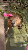 ruth_chavarri Altpins Profile Picture
