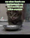catl0verr69 Altpins Profile Picture