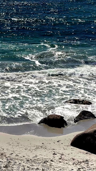 taylor.creeden taylor.creeden archive video