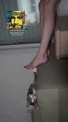 lila.garnik Altpins Profile Picture