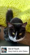 imskirby Altpins Profile Picture