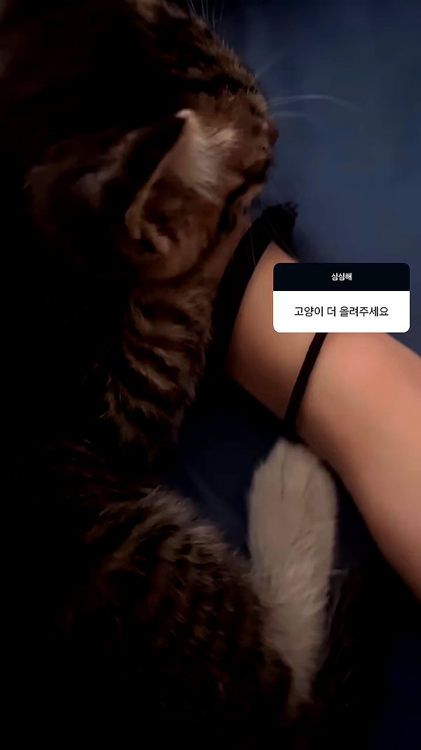 owol.xx archive video preview