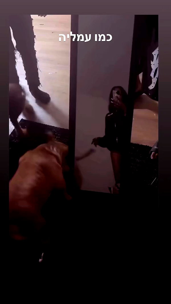 alma.almog archive video preview