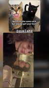 nicole_ac Altpins Profile Picture